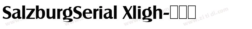 SalzburgSerial Xligh字体转换 SalzburgSerial Xligh字体转换